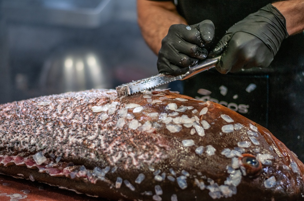 ESCAMADOR DE PESCADO