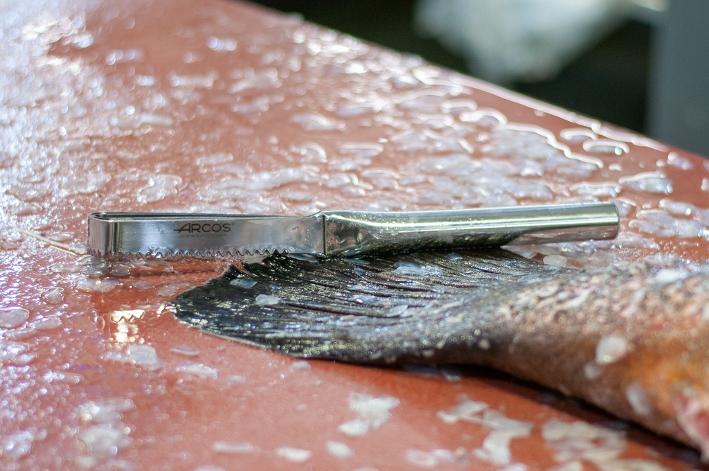 ESCAMADOR DE PESCADO